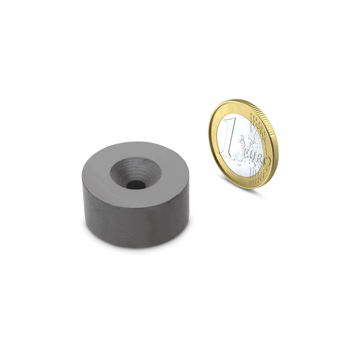 Ferrite Ring magnet Ø31mm x Ø5,3mm x 15